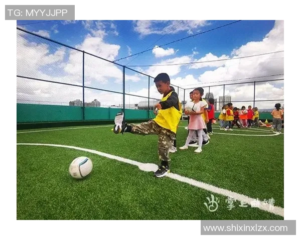 空中悲剧足球巨星在飞行中离世的感人故事与影响