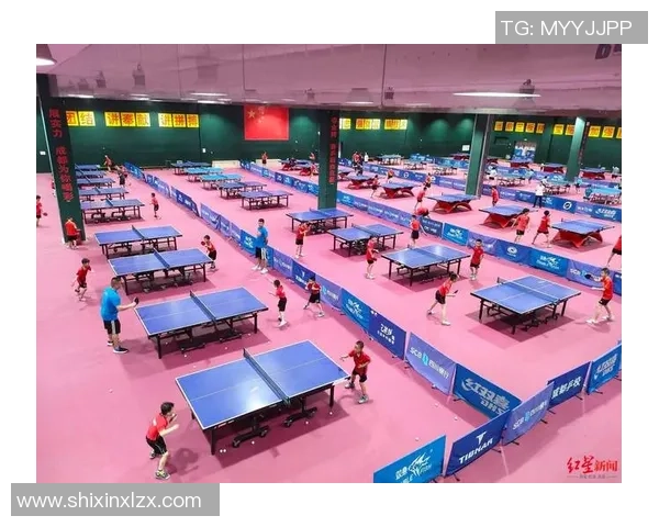 成都乒乓球队防反技战术深度解析与训练策略探讨