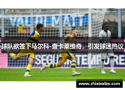 球队欲签下马尔科-查卡莱维奇，引发球迷热议