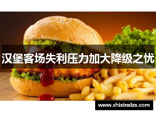 汉堡客场失利压力加大降级之忧