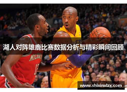 湖人对阵雄鹿比赛数据分析与精彩瞬间回顾