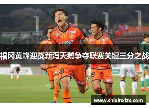 福冈黄蜂迎战新泻天鹅争夺联赛关键三分之战